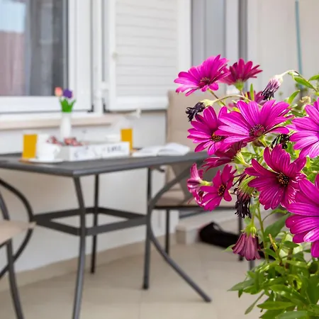 Ploce * دوبروفينك